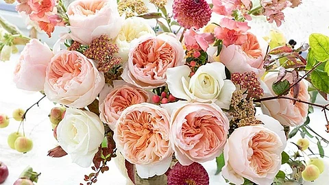 Rose Day: कहाणी 112 कोटींच्या गुलाबाची; फुल फुलवण्यासाठी लागतात 15 वर्ष