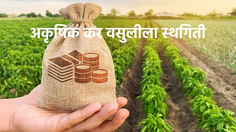 Non-agricultural tax