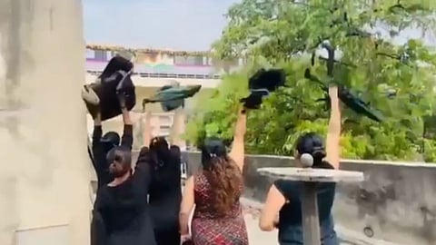 PM Modi visit to Pune: मेट्रो प्रवासादरम्यान राष्ट्रवादी युवती काँग्रेसने दाखवले काळे झेंडे; (पहा Video)