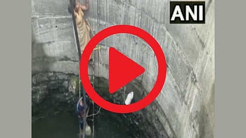 Nashik : जीव धोक्यात घालून महिला भरत आहेत विहिरीतील पाणी, पहा VIDEO