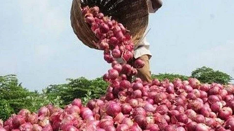Onion