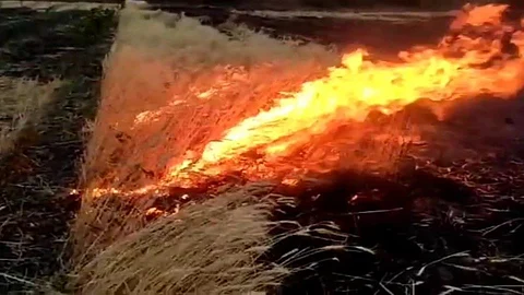 Fire
