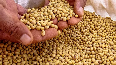 Farmers should use home grown soybean seeds says eknath dawale