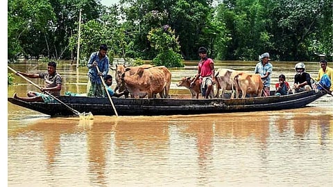 Assam flood