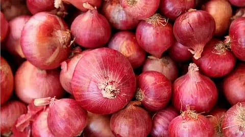 Onion Farmers