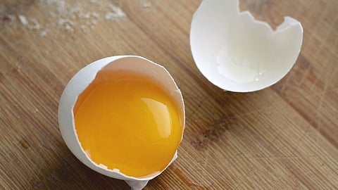 Benefits of eating egg yolk, Health Tips in Marathi, egg yolk benefits in Marathi