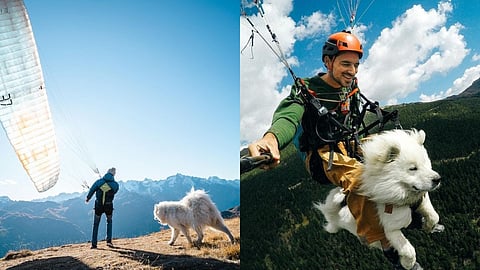 ouka.sam Paragliding Dog Video