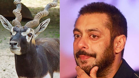 salman khan threat because of hunting Blackbuck