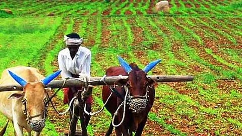 Maharashtra Budget 2023
