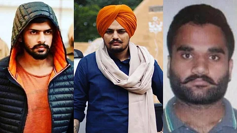 Sidhu moose wala case News Updates