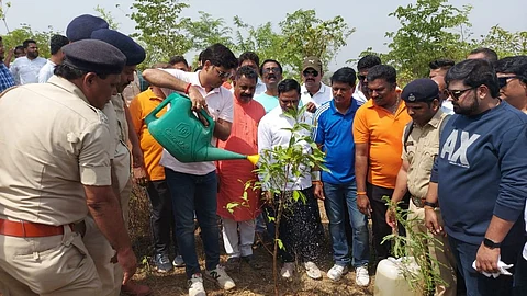 mp shrikant shinde planted trees on eve of world enviornment day.