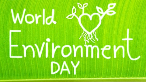 World environment day