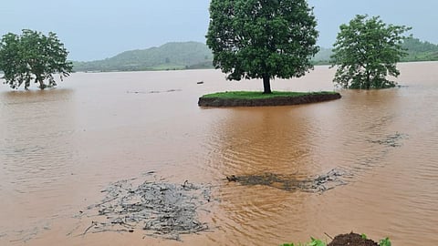 Nandurbar Akkalkuwa taluka receives 85 mm of rainfall
