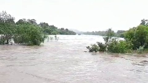 raigad, rain, rain alert, red alert by imd