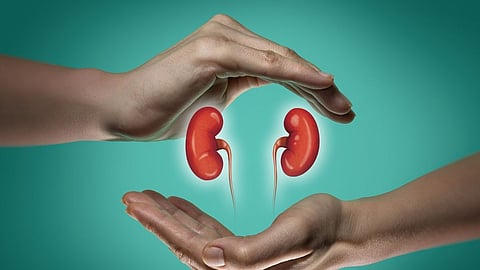 Kidney Health