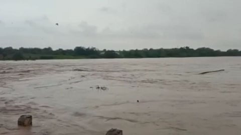 buldhana, buldhana rain update,