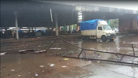 apmc market, navi mumbai, rain