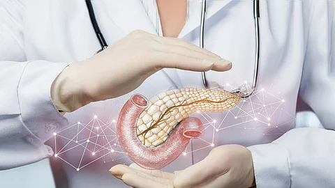 Foods For Healthy Pancreas, Daily Food