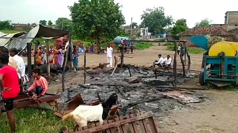 Wardha News Bail Pola