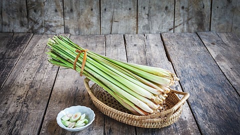Lemongrass benefits