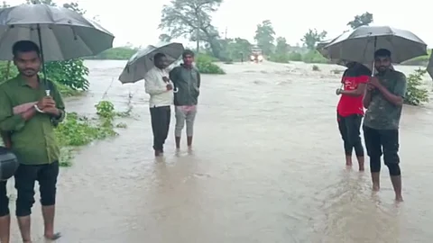 maharashtra rain update, washim, gadchiroli, thane, rain, flood