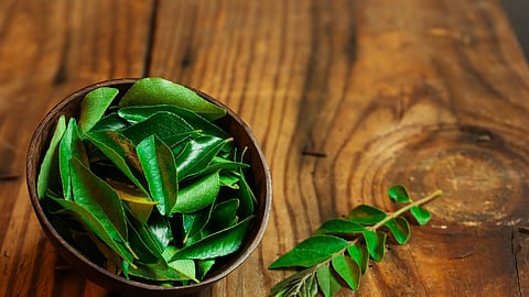 Curry Leaves Benefits