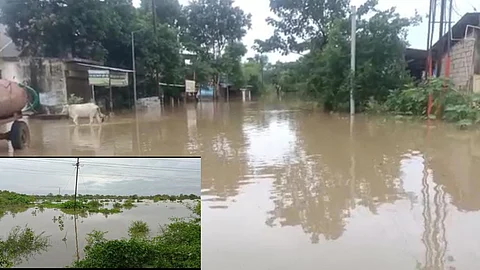 Wainganga River Flood News