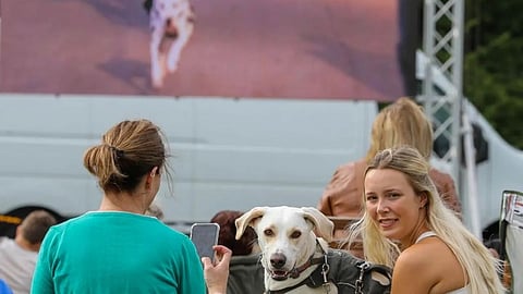 Britan Dog's Special Screening