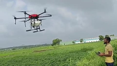 Maval Agriculture News