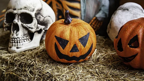 Halloween 2022