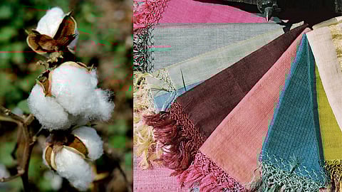 World Cotton Day