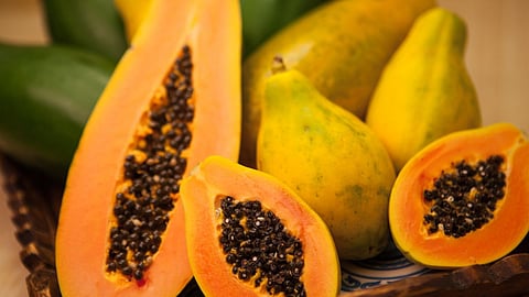 Papaya Side Effects