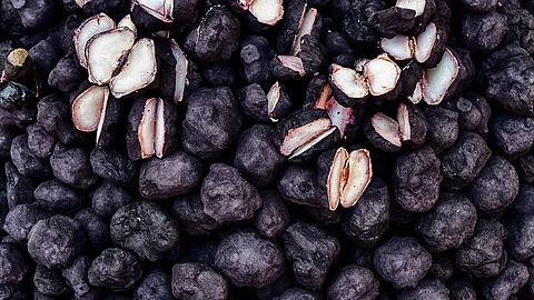 Water Chestnut Benefits