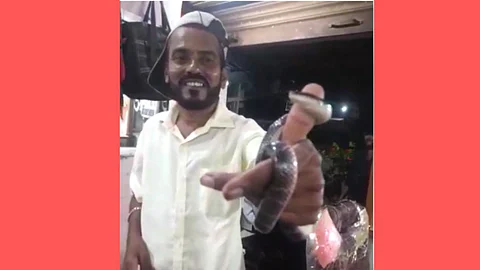 Wardha Viral Video