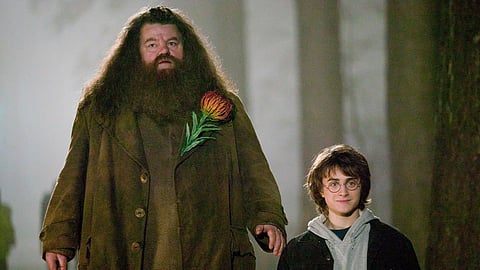 Hagrid And Harry potter