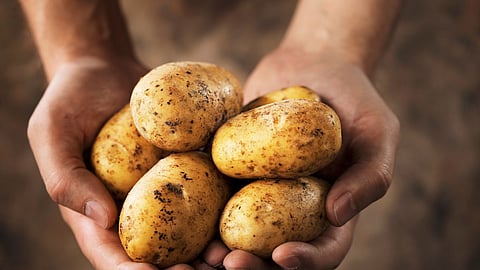 Potatoes