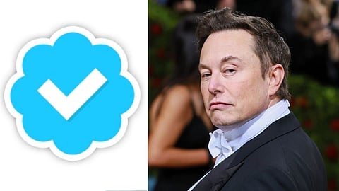 Elon Musk Twitter News