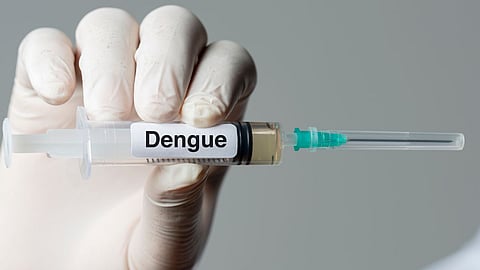 Dengue Diet