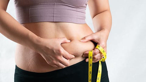 Belly Fat Exercise