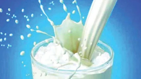pandharpur , milk