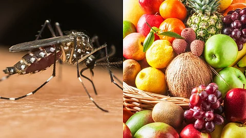 Dengue Disease