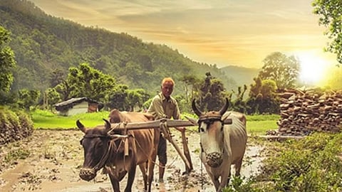 Farmer News