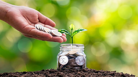 New Year Investment Tips