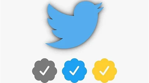 Twitter Verified Accounts Features