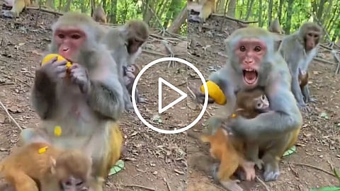 Viral Video