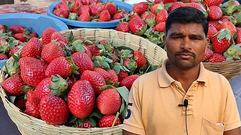 Nandurbar News Farmer