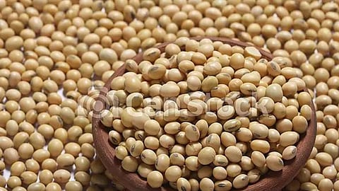 Soybean Price