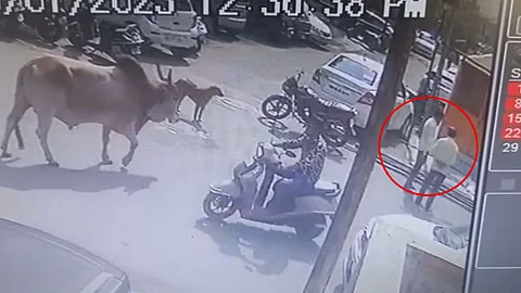 Pimpri Chinchwad Viral Video