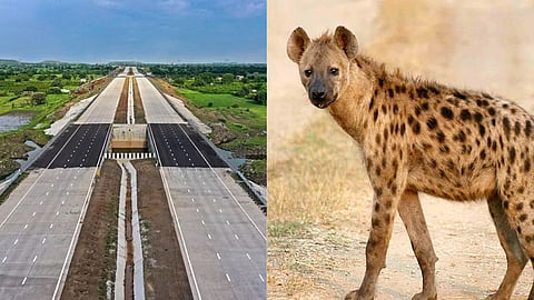 Samruddhi Mahamarg Accident