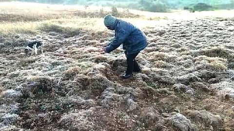 Mahableshwar, Dapoli